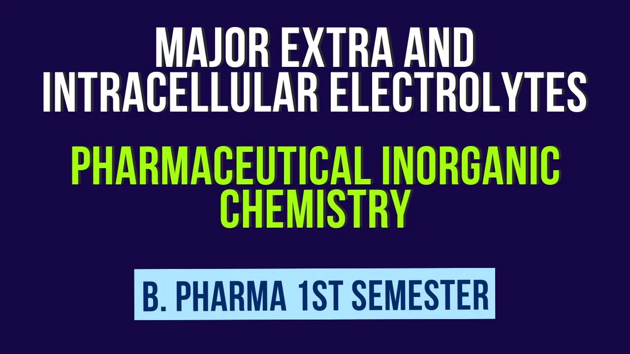 Major Extra And Intracellular Electrolytes Pharmaceutical Inorganic