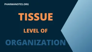 Tissue-Level-of-organization