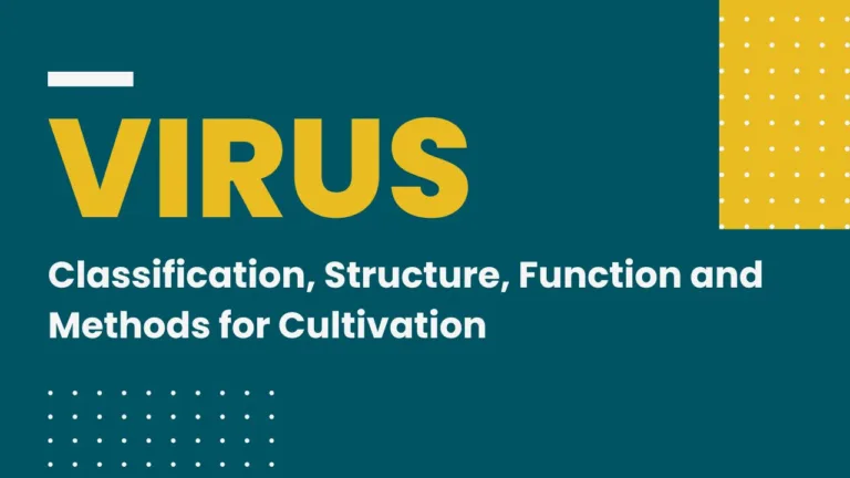 Virus Classification, Structure, Function and Methods for Cultivation