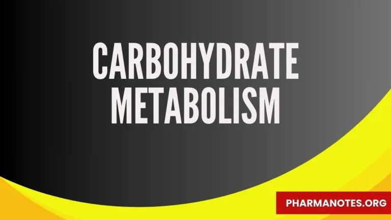 Carbohydrate Metabolism