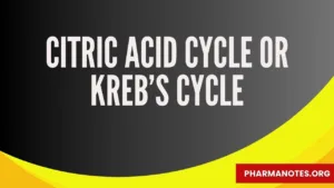 Citric Acid Cycle, Kreb’s cycle