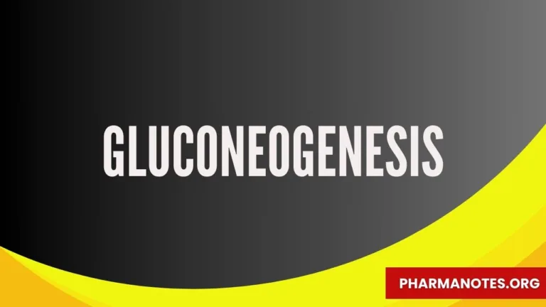 Gluconeogenesis