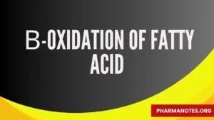 β-Oxidation of fatty acid