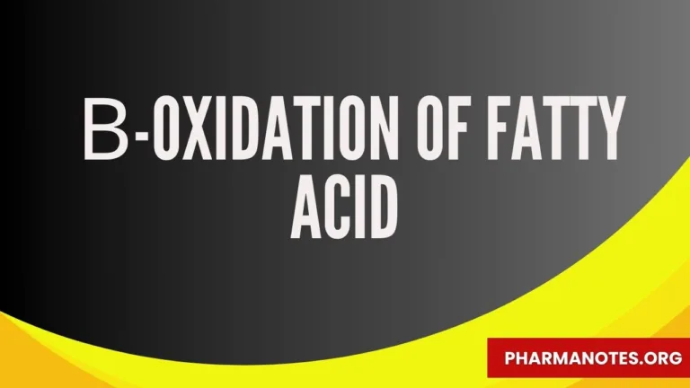  β-Oxidation of fatty acid