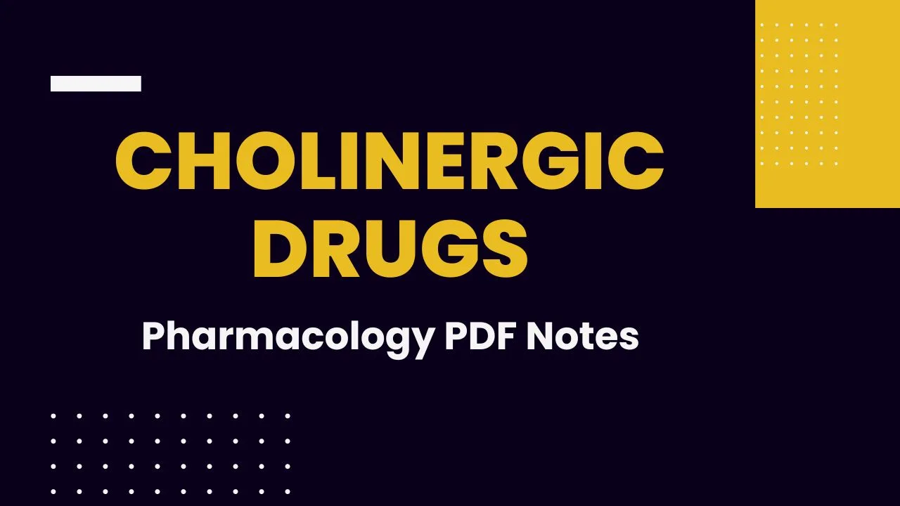write an essay on cholinergic drugs