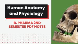 Human Anatomy and Physiology B. Pharma 2nd Semester PDF Notes
