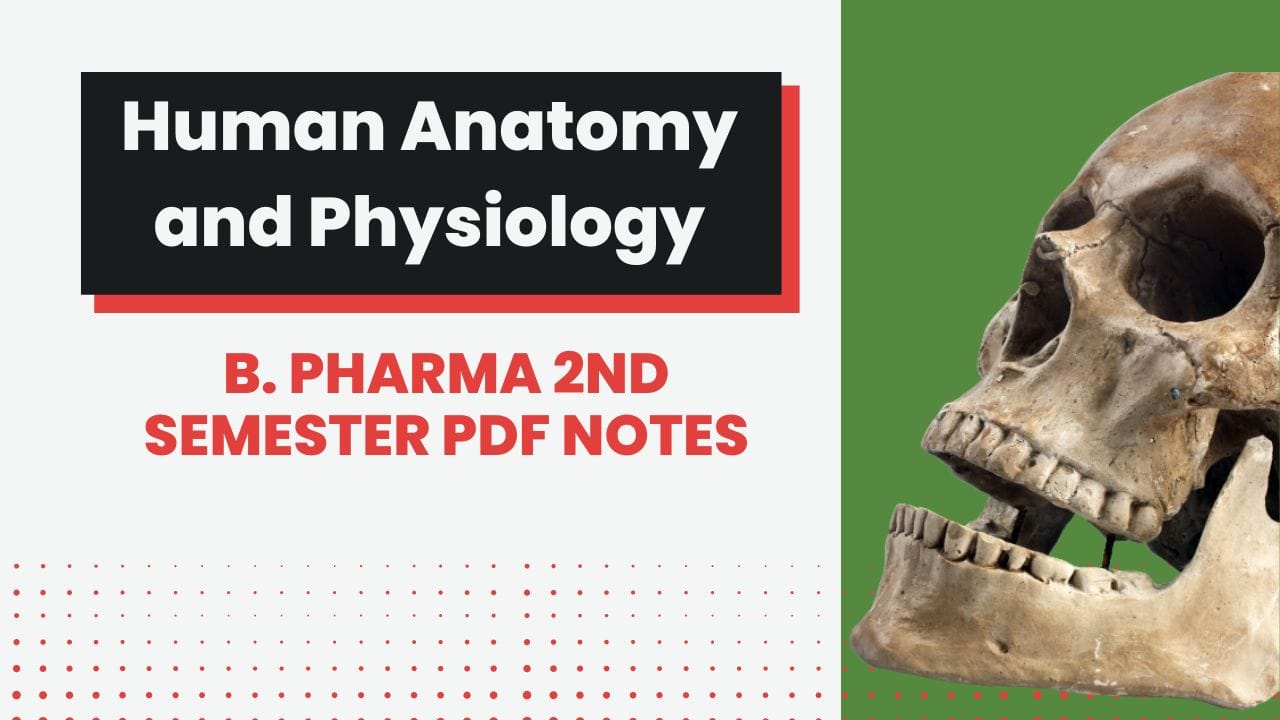 Human Anatomy And Physiology II - B. Pharma 2nd Semester PDF Notes ...