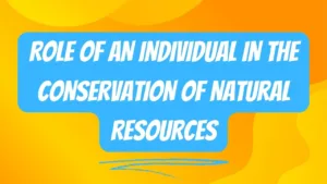 ROLE-OF-AN-INDIVIDUAL-IN-CONSERVATION-OF-NATURAL-RESOURCES