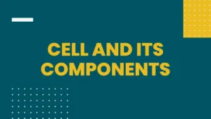 CELL AND ITS COMPONENTS