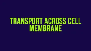 TRANSPORT-ACROSS-CELL-MEMBRANE