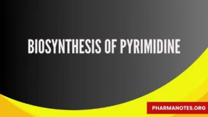 Biosynthesis of Pyrimidine