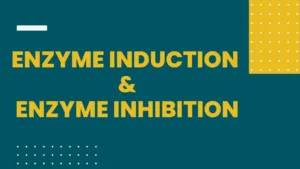 Enzyme-Induction-and-Enzyme-Inhibition