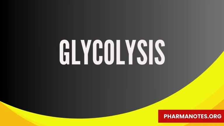 Glycolysis