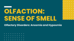 OLFACTION-SENSE-OF-SMELL, Olfactory-Disorders, Anosmia-and-Hyposmia
