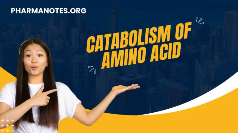 Catabolism-of-amino-acid