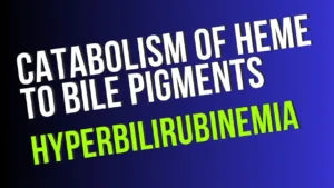 Catabolism-of-heme-to-bile-pigments-and-hyperbilirubinemia