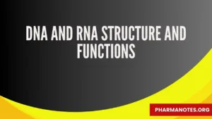 DNA and RNA Structure and Functions