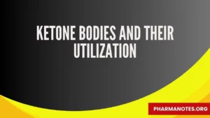 Ketone bodies and their utilization