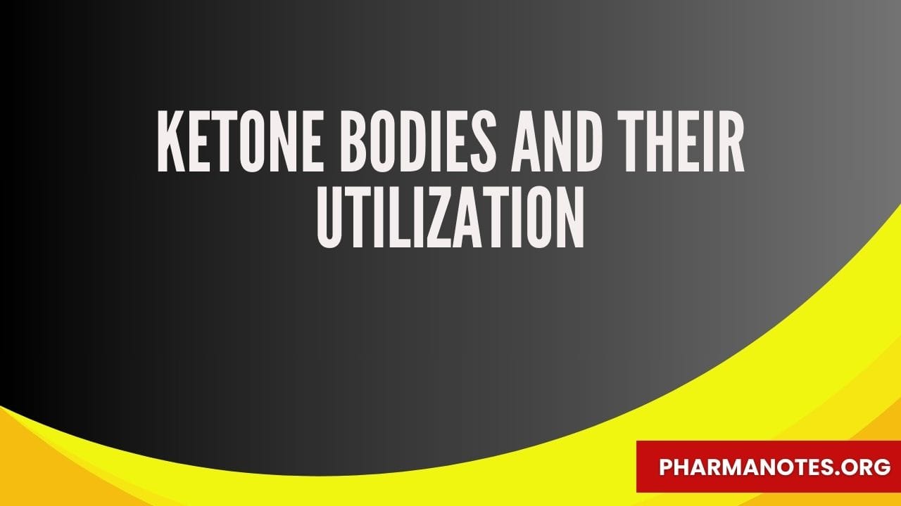 Ketone Bodies And Their Utilization Pharmanotes