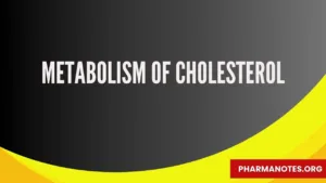 Metabolism of Cholesterol