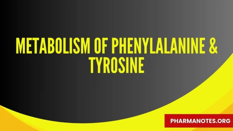 Metabolism of Phenylalanine & Tyrosine