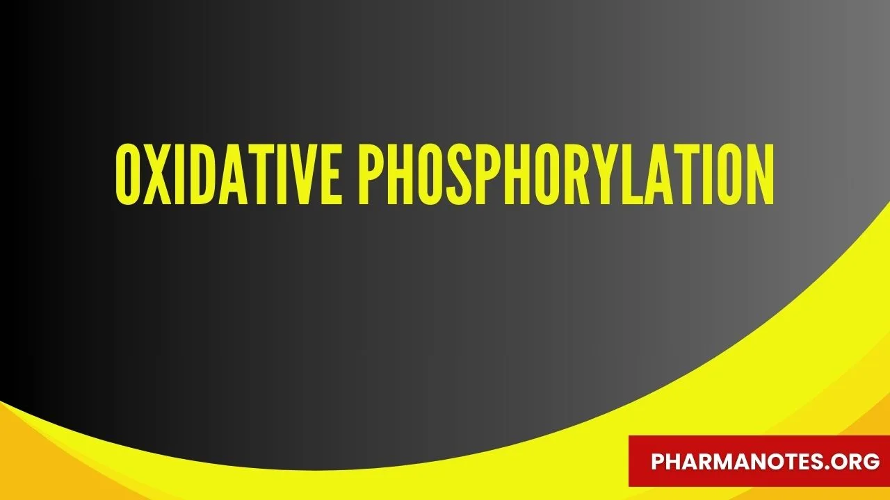 Oxidative Phosphorylation - Pharmanotes