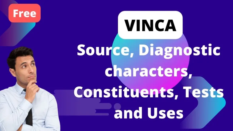 Vinca