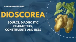 Source, diagnostic characters, constituents and uses of Dioscorea