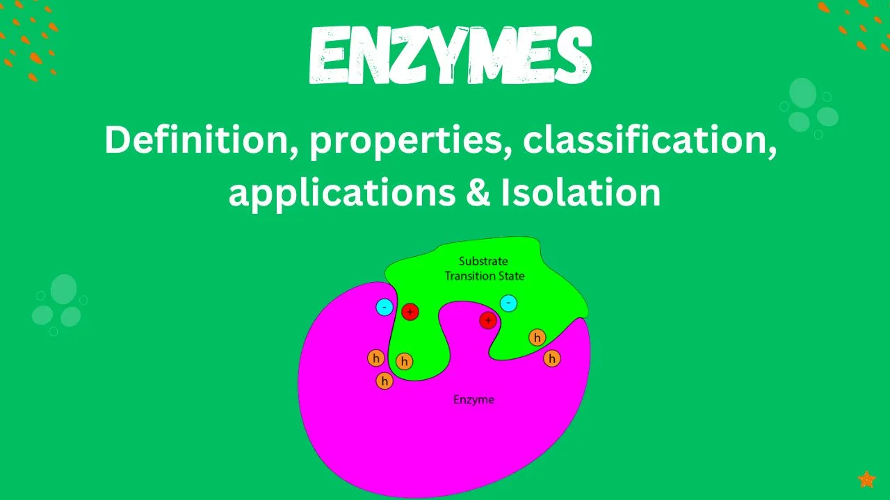 Enzymes Definition, properties, classification, applications