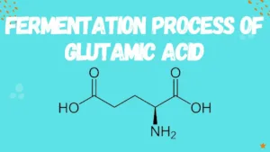 Fermentation process of Glutamic acid