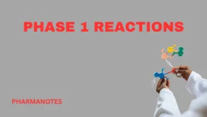 Phase I Reactions, Phase 1 Reactions