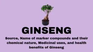 GINSENG - Source, Name of marker compounds and their chemical nature, Medicinal uses, and health benefits of Ginseng
