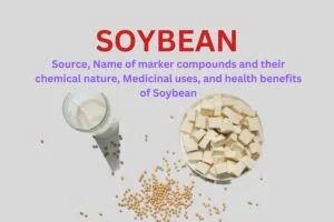 Soybean - Source, Name of marker compounds and their chemical nature, Medicinal uses, and health benefits of Soybean