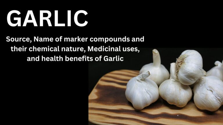 Garlic - Source, Name of marker compounds and their chemical nature, Medicinal uses and health benefits