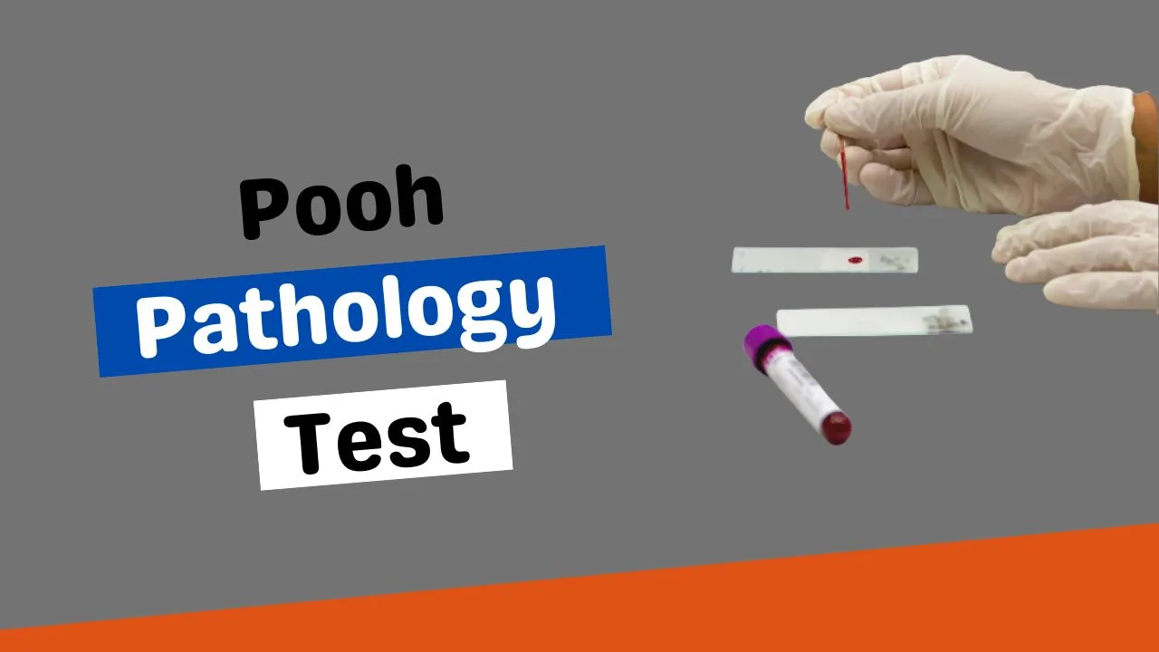 Understanding the Pooh Pathology Test: A Comprehensive Guide - Pharmanotes