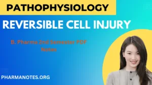 reversible-cell-injury