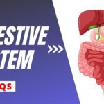 Digestive System Multiple Choice Question