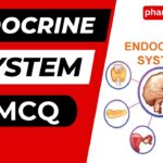 Endocrine System Multiple Choice Question