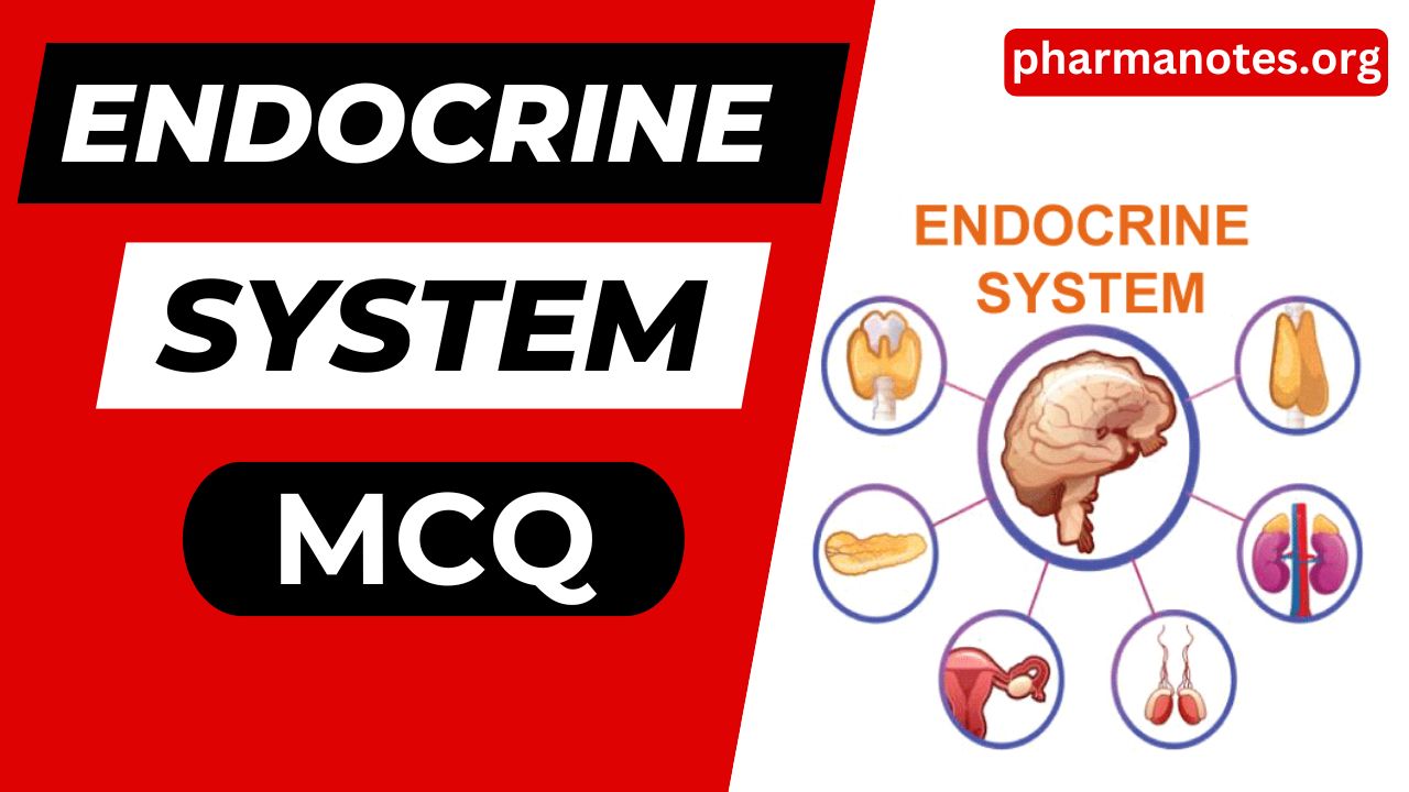Endocrine System Multiple Choice Question