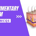 Integumentary System Multiple Choice Question