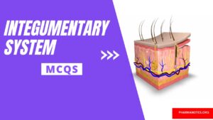 Integumentary System Multiple Choice Question