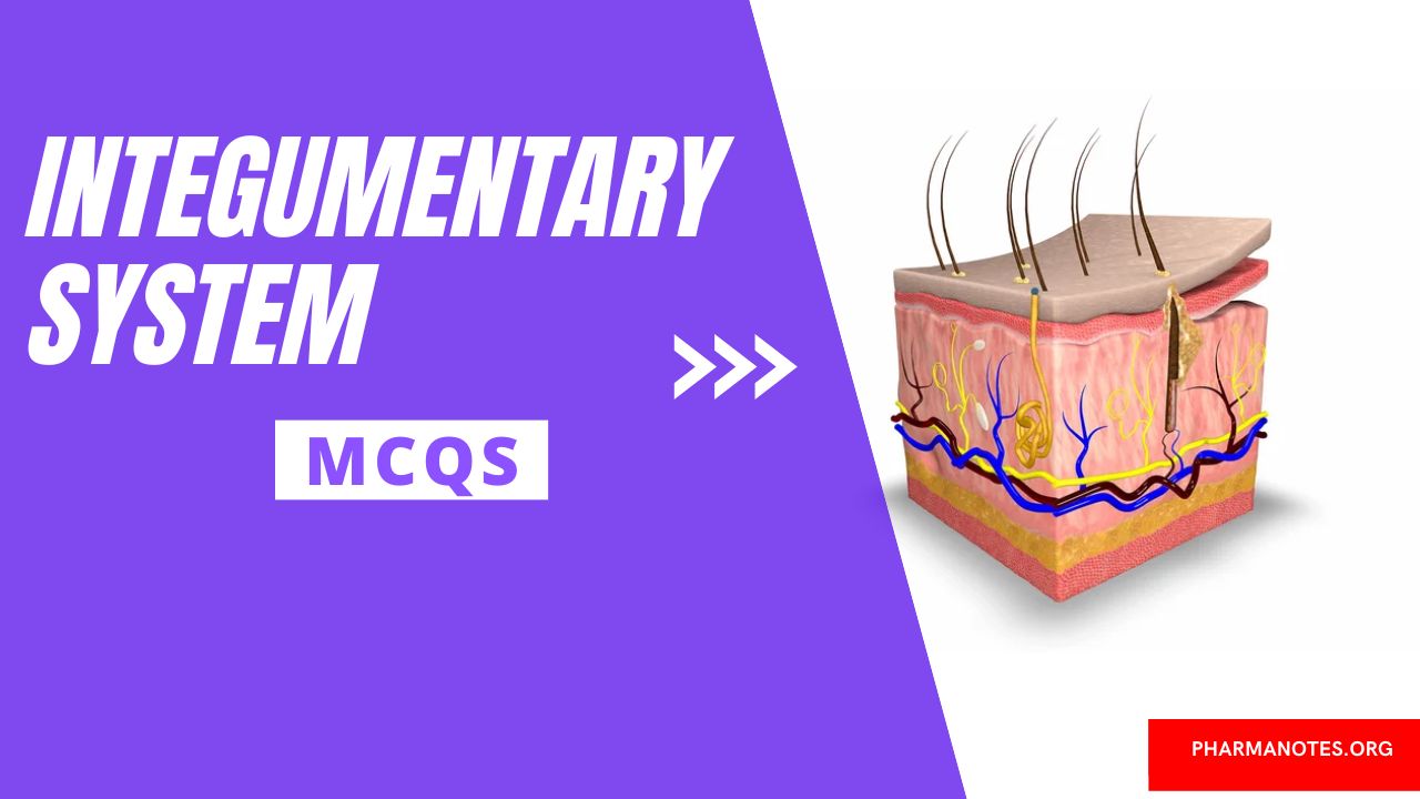 Integumentary System Multiple Choice Question