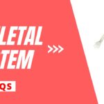 Skeletal System Multiple Choice Question