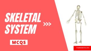 Skeletal System Multiple Choice Question