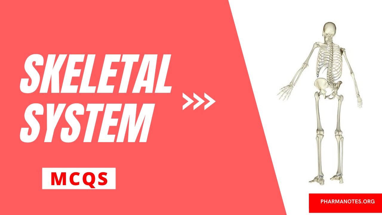 Skeletal System Multiple Choice Question